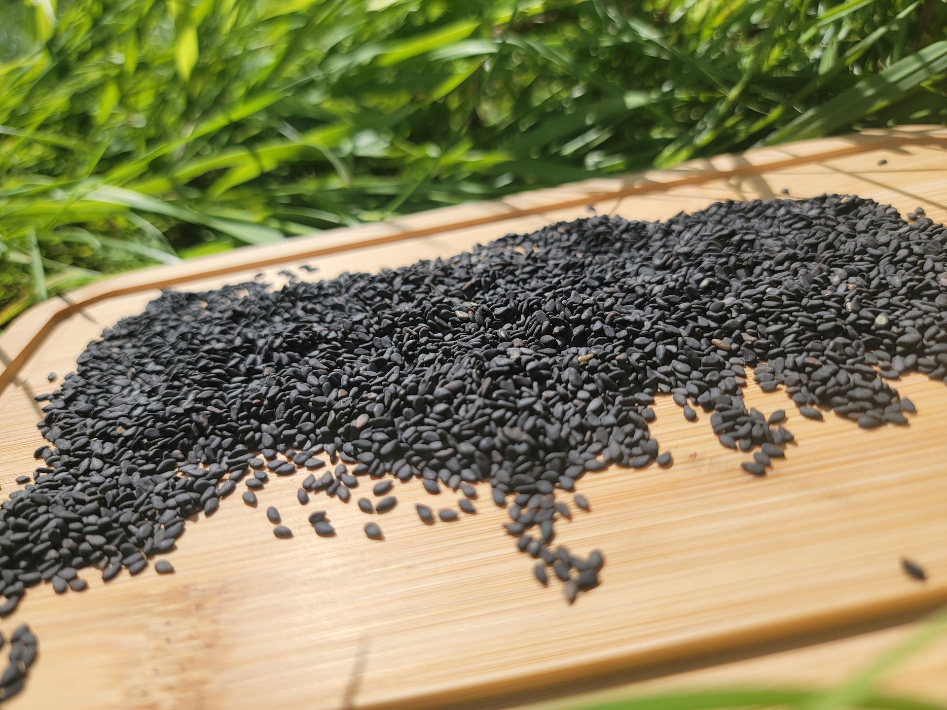 bulk sesame seed for planting Black Sesame Seeds – Bear Fruit Harvest LLC